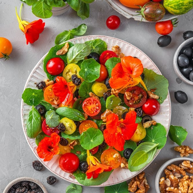 Petals on Your Plate: Elevate Your Salads with Edible Flowers